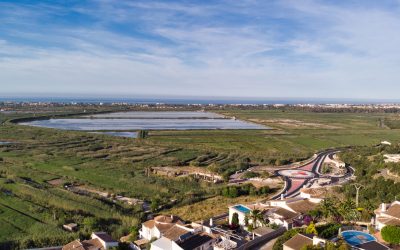 DJI_0817