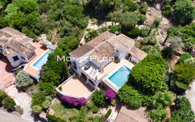 DJI_0847