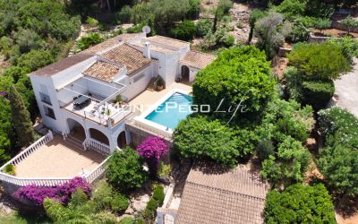 DJI_0848