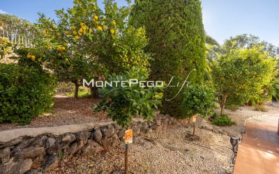 IMG_4010-HDR copia