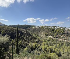 IMG_9786