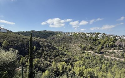 IMG_9786