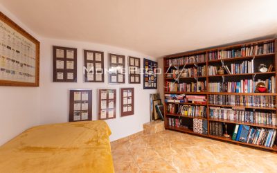 Images_10