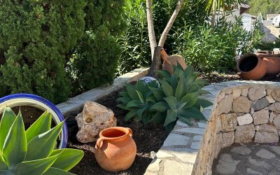 PHOTO-2025-11-13-10-15-22 3