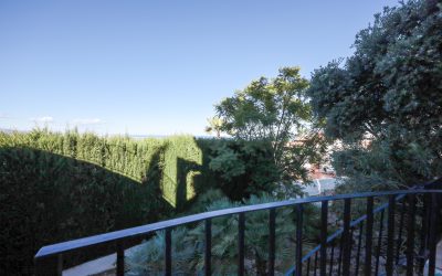 Sin título-13 copia