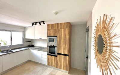 WhatsApp Image 2026-02-03 at 11.19.57