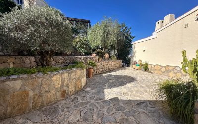 WhatsApp Image 2026-02-17 at 12.50.29 (8)