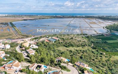 dron (3)