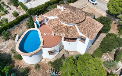 dron (4)
